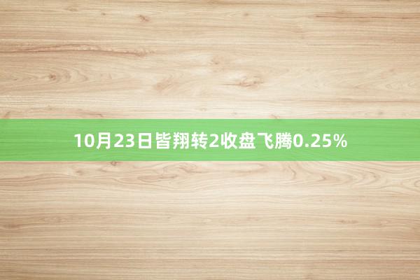 10月23日皆翔转2收盘飞腾0.25%