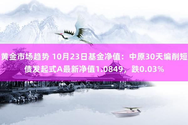 黄金市场趋势 10月23日基金净值：中原30天编削短债发起式A最新净值1.0849，跌0.03%