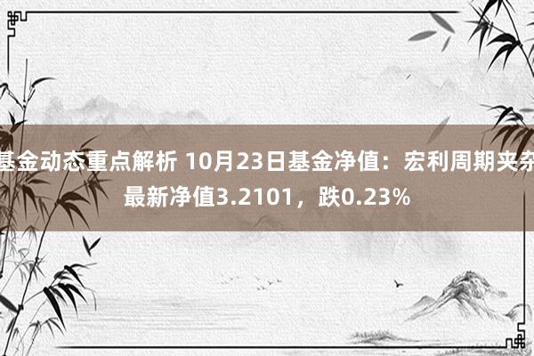 基金动态重点解析 10月23日基金净值：宏利周期夹杂最新净值3.2101，跌0.23%