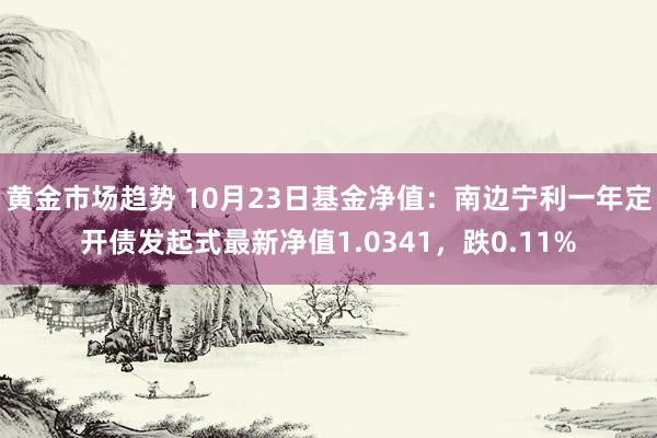 黄金市场趋势 10月23日基金净值：南边宁利一年定开债发起式最新净值1.0341，跌0.11%