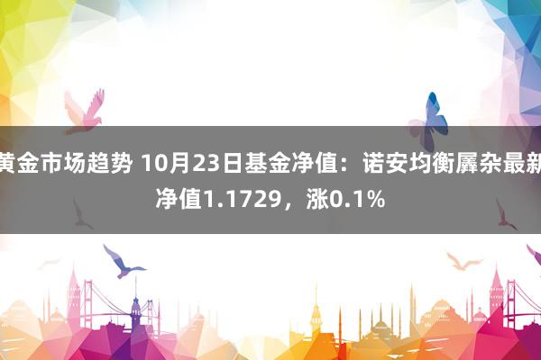 黄金市场趋势 10月23日基金净值：诺安均衡羼杂最新净值1.1729，涨0.1%