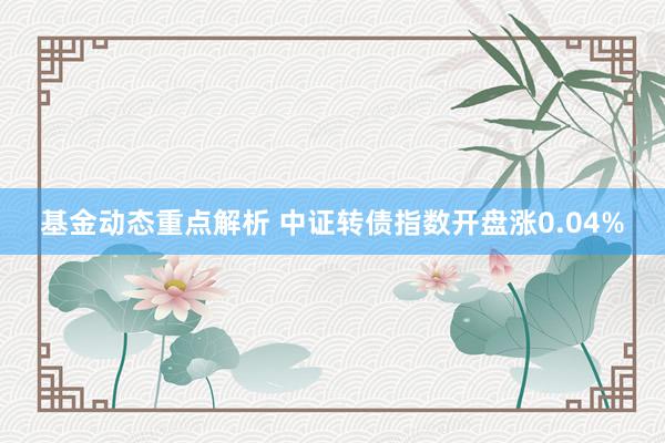 基金动态重点解析 中证转债指数开盘涨0.04%