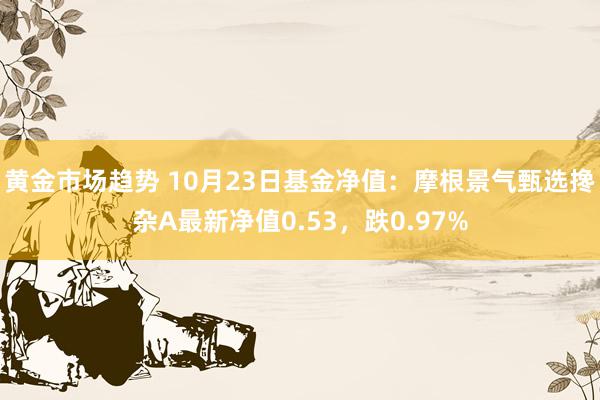 黄金市场趋势 10月23日基金净值：摩根景气甄选搀杂A最新净值0.53，跌0.97%