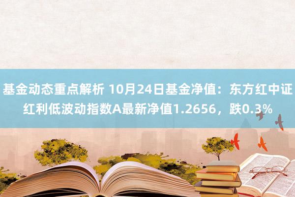 基金动态重点解析 10月24日基金净值：东方红中证红利低波动指数A最新净值1.2656，跌0.3%