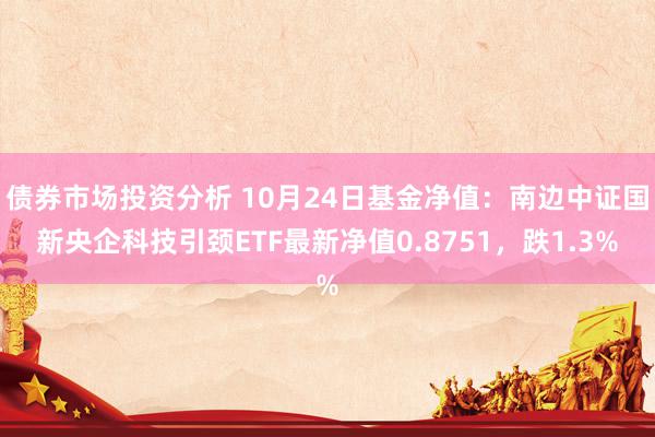 债券市场投资分析 10月24日基金净值：南边中证国新央企科技引颈ETF最新净值0.8751，跌1.3%