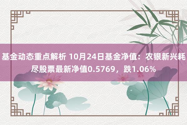 基金动态重点解析 10月24日基金净值：农银新兴耗尽股票最新净值0.5769，跌1.06%