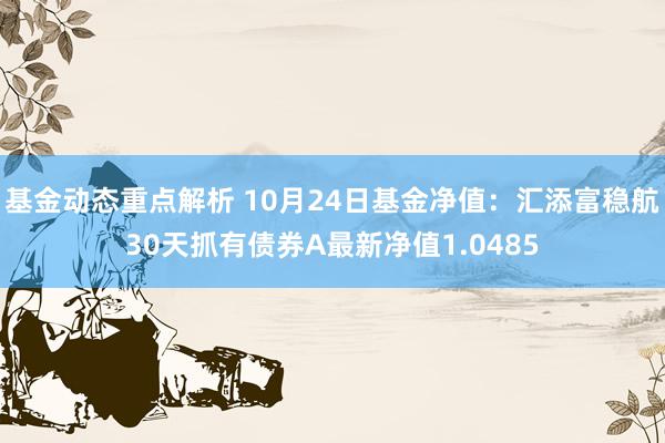 基金动态重点解析 10月24日基金净值：汇添富稳航30天抓有债券A最新净值1.0485