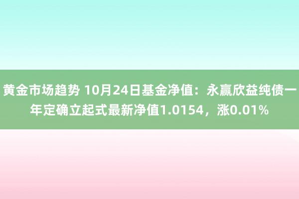 黄金市场趋势 10月24日基金净值：永赢欣益纯债一年定确立起式最新净值1.0154，涨0.01%