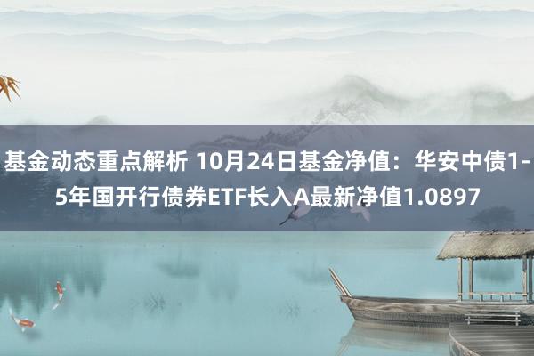 基金动态重点解析 10月24日基金净值：华安中债1-5年国开行债券ETF长入A最新净值1.0897