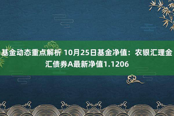 基金动态重点解析 10月25日基金净值：农银汇理金汇债券A最新净值1.1206