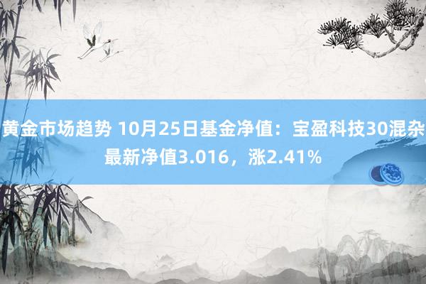 黄金市场趋势 10月25日基金净值：宝盈科技30混杂最新净值3.016，涨2.41%