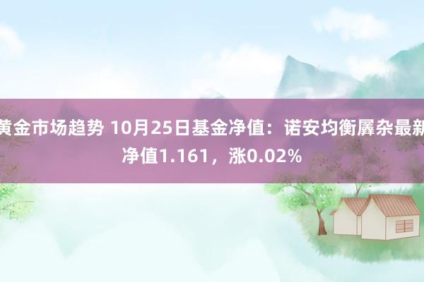 黄金市场趋势 10月25日基金净值：诺安均衡羼杂最新净值1.161，涨0.02%