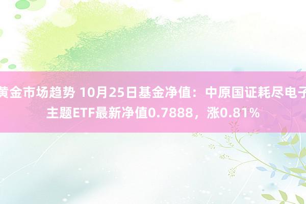 黄金市场趋势 10月25日基金净值：中原国证耗尽电子主题ETF最新净值0.7888，涨0.81%