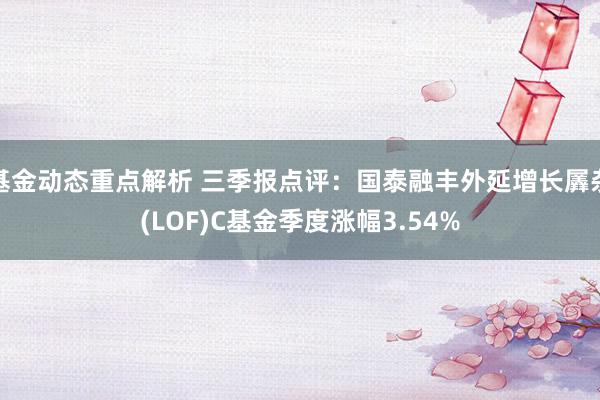 基金动态重点解析 三季报点评：国泰融丰外延增长羼杂(LOF)C基金季度涨幅3.54%