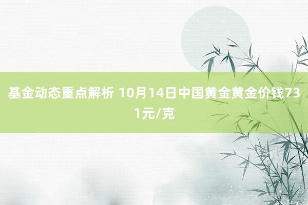 基金动态重点解析 10月14日中国黄金黄金价钱731元/克