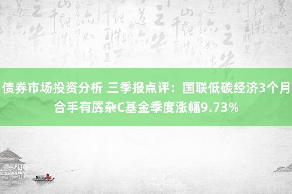 债券市场投资分析 三季报点评：国联低碳经济3个月合手有羼杂C基金季度涨幅9.73%