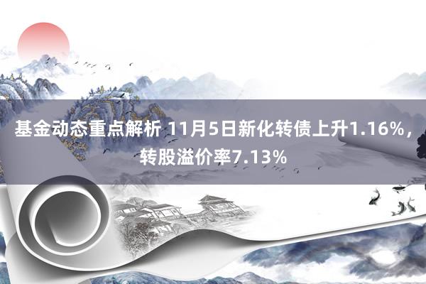 基金动态重点解析 11月5日新化转债上升1.16%，转股溢价率7.13%