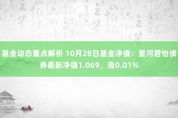 基金动态重点解析 10月28日基金净值：星河君怡债券最新净值1.069，涨0.01%