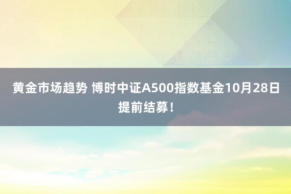 黄金市场趋势 博时中证A500指数基金10月28日提前结募！