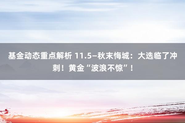 基金动态重点解析 11.5—秋末悔城：大选临了冲刺！黄金“波浪不惊”！