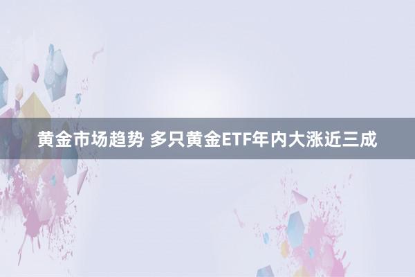 黄金市场趋势 多只黄金ETF年内大涨近三成