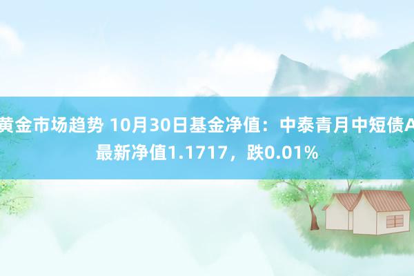 黄金市场趋势 10月30日基金净值：中泰青月中短债A最新净值1.1717，跌0.01%