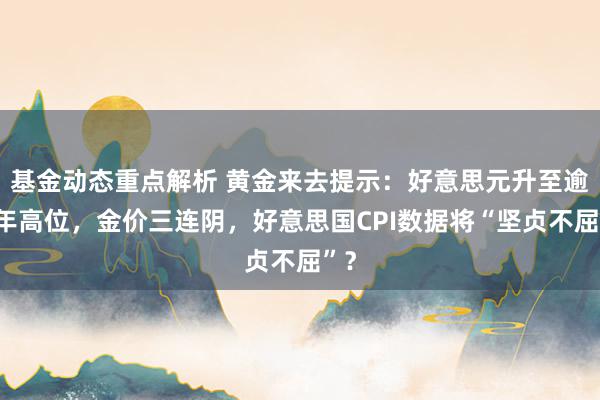 基金动态重点解析 黄金来去提示：好意思元升至逾半年高位，金价三连阴，好意思国CPI数据将“坚贞不屈”？