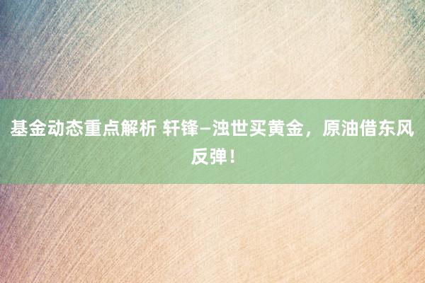 基金动态重点解析 轩锋—浊世买黄金，原油借东风反弹！