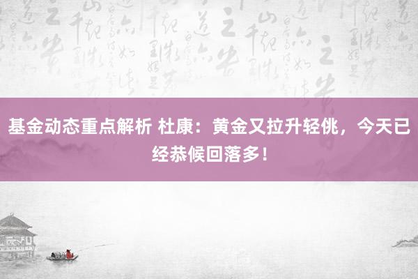 基金动态重点解析 杜康：黄金又拉升轻佻，今天已经恭候回落多！