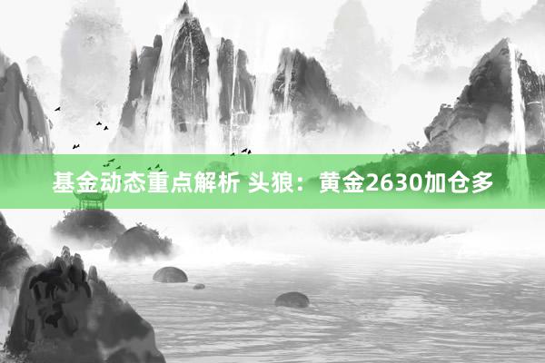 基金动态重点解析 头狼：黄金2630加仓多