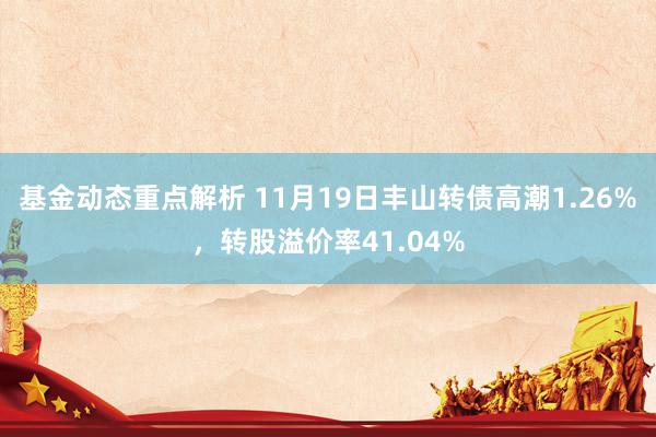 基金动态重点解析 11月19日丰山转债高潮1.26%，转股溢价率41.04%