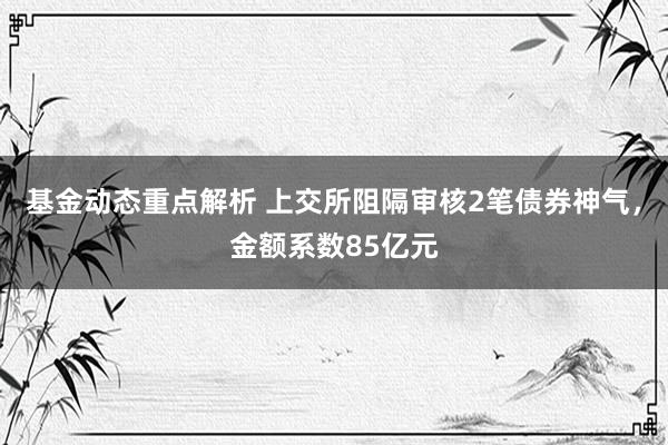 基金动态重点解析 上交所阻隔审核2笔债券神气，金额系数85亿元