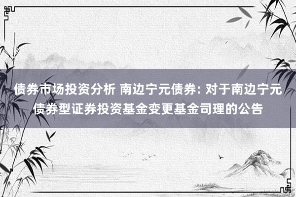 债券市场投资分析 南边宁元债券: 对于南边宁元债券型证券投资基金变更基金司理的公告