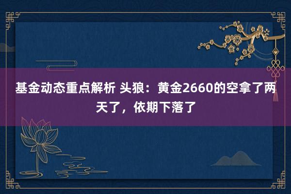 基金动态重点解析 头狼：黄金2660的空拿了两天了，依期下落了