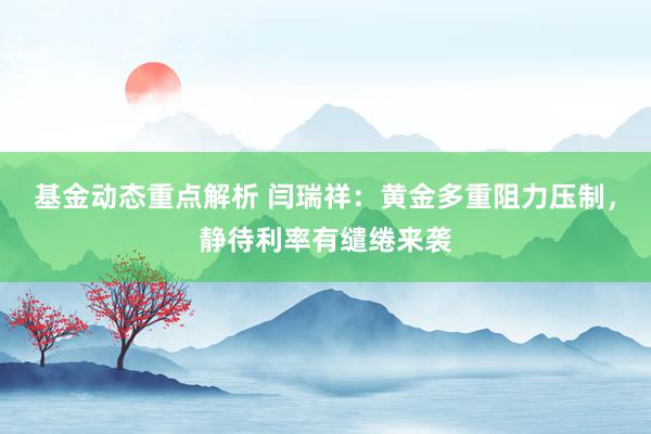 基金动态重点解析 闫瑞祥：黄金多重阻力压制，静待利率有缱绻来袭