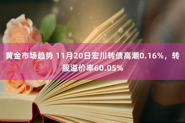 黄金市场趋势 11月20日宏川转债高潮0.16%，转股溢价率60.05%