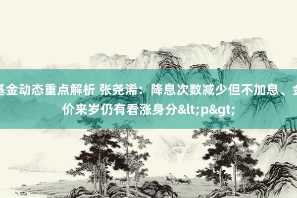 基金动态重点解析 张尧浠：降息次数减少但不加息、金价来岁仍有看涨身分<p>