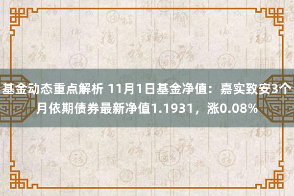 基金动态重点解析 11月1日基金净值：嘉实致安3个月依期债券最新净值1.1931，涨0.08%