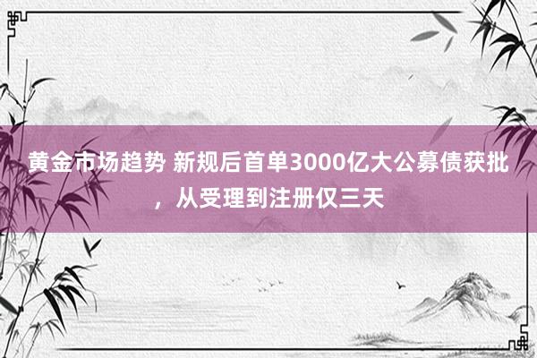 黄金市场趋势 新规后首单3000亿大公募债获批，从受理到注册仅三天