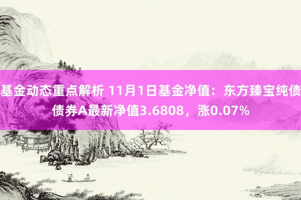 基金动态重点解析 11月1日基金净值：东方臻宝纯债债券A最新净值3.6808，涨0.07%