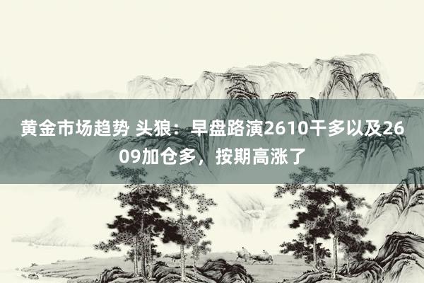 黄金市场趋势 头狼：早盘路演2610干多以及2609加仓多，按期高涨了