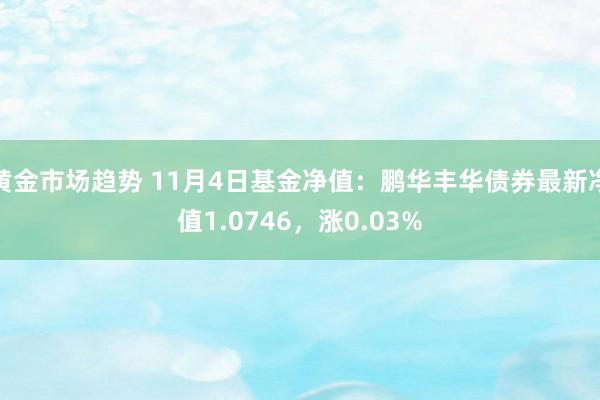 黄金市场趋势 11月4日基金净值：鹏华丰华债券最新净值1.0746，涨0.03%