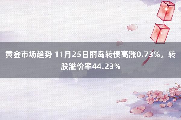 黄金市场趋势 11月25日丽岛转债高涨0.73%，转股溢价率44.23%