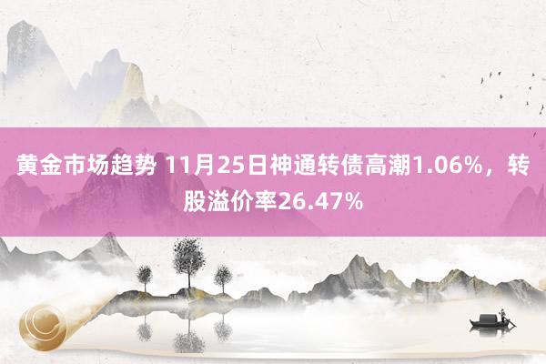 黄金市场趋势 11月25日神通转债高潮1.06%，转股溢价率26.47%