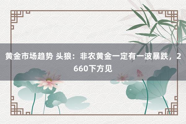 黄金市场趋势 头狼：非农黄金一定有一波暴跌，2660下方见