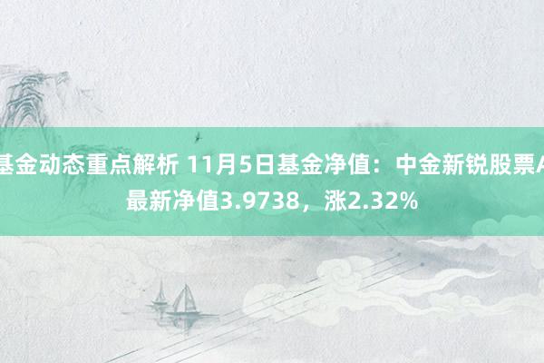 基金动态重点解析 11月5日基金净值：中金新锐股票A最新净值3.9738，涨2.32%