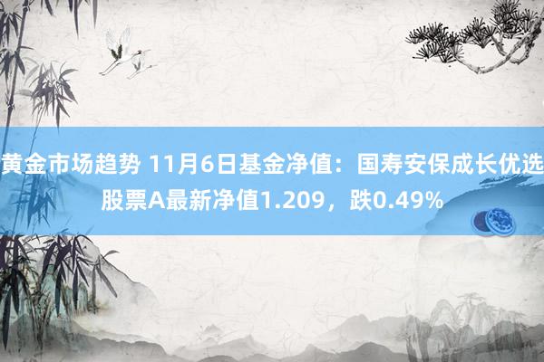 黄金市场趋势 11月6日基金净值：国寿安保成长优选股票A最新净值1.209，跌0.49%