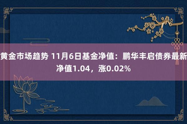 黄金市场趋势 11月6日基金净值：鹏华丰启债券最新净值1.04，涨0.02%