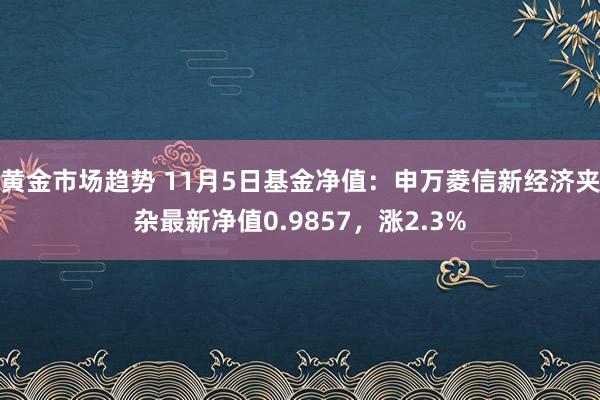 黄金市场趋势 11月5日基金净值：申万菱信新经济夹杂最新净值0.9857，涨2.3%