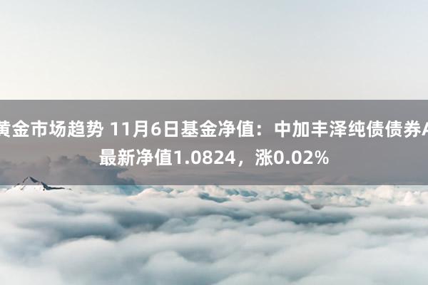 黄金市场趋势 11月6日基金净值：中加丰泽纯债债券A最新净值1.0824，涨0.02%